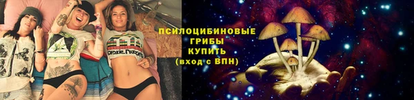 прущая мука Армянск