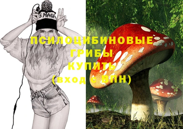 прущая мука Армянск