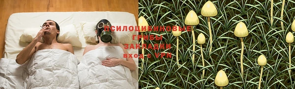 герыч Арсеньев