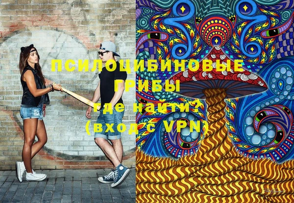 амф Аркадак