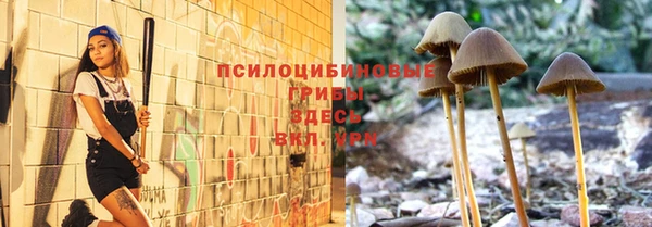 прущая мука Армянск